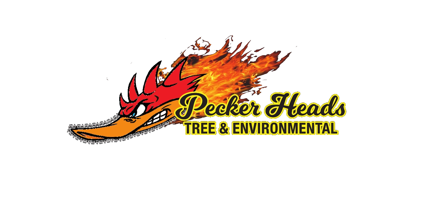 Pecker Heads Tree & Environmental Logo