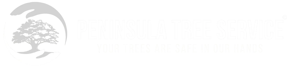 Peninsula Tree Service Logo