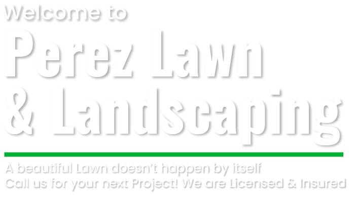 Perez lawn and landscaping Logo