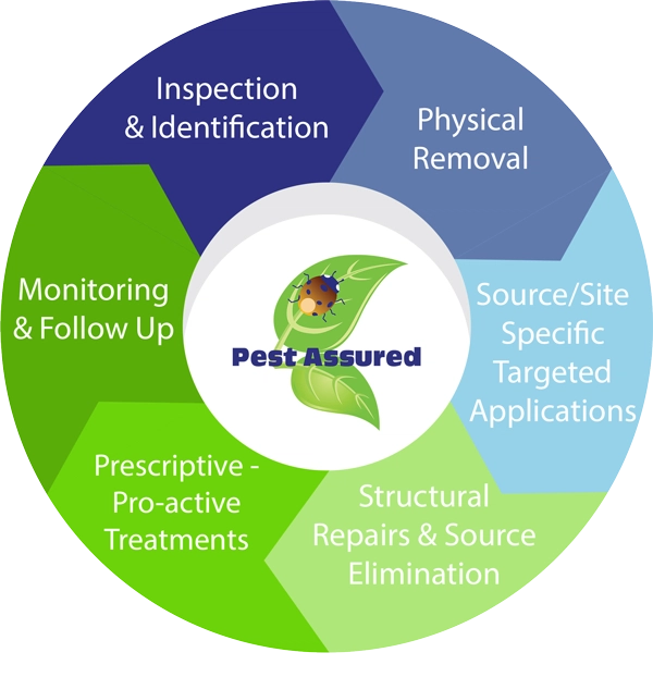 Pest Assured Inc. Logo