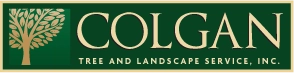 Peter C Colgan Jr Tree Landscp Logo