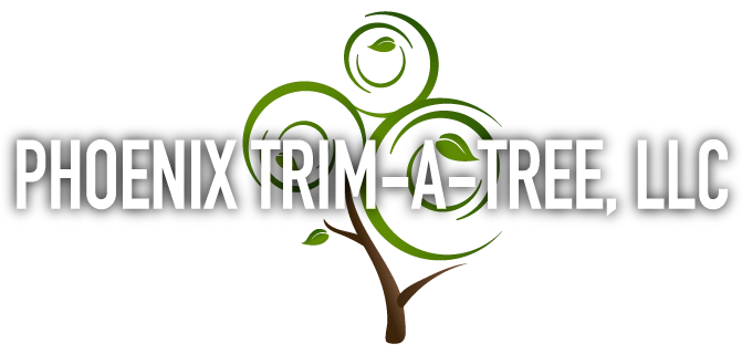 Phoenix Trim a Tree LLC Logo