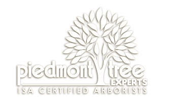 Piedmont Tree Experts Logo