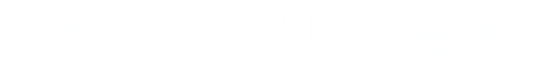 Positano Plumbing Inc Logo