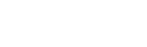 Precise Windows & Doors Logo