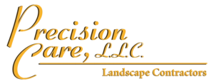 Precision Care LLC Logo