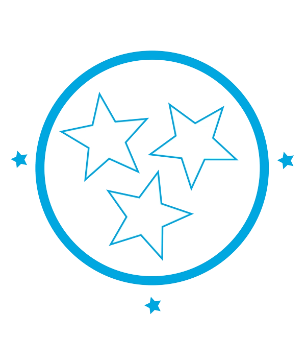Precision Lawn Service Logo