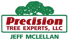 Precision Tree Experts LLC Logo