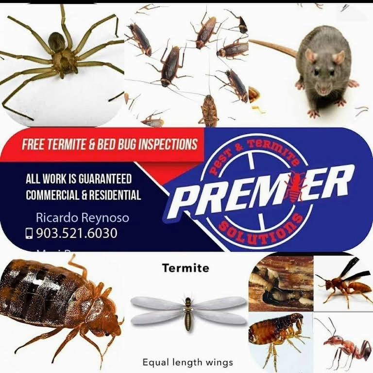 Premier Pest & Termite Solutions Logo