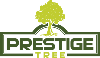 Prestige Tree Logo