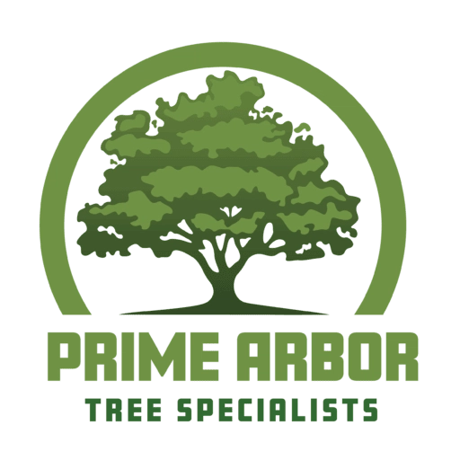 Prime Arbor Tree Specialists Logo