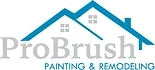 Pro Brush Painting Logo
