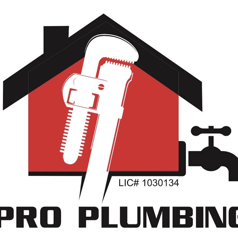 Pro Plumbing Logo