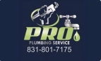 Pro Plumbing Service Logo
