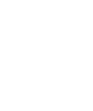 Pro Plus Services Logo
