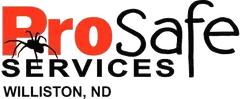 Pro Safe Services Inc. Logo