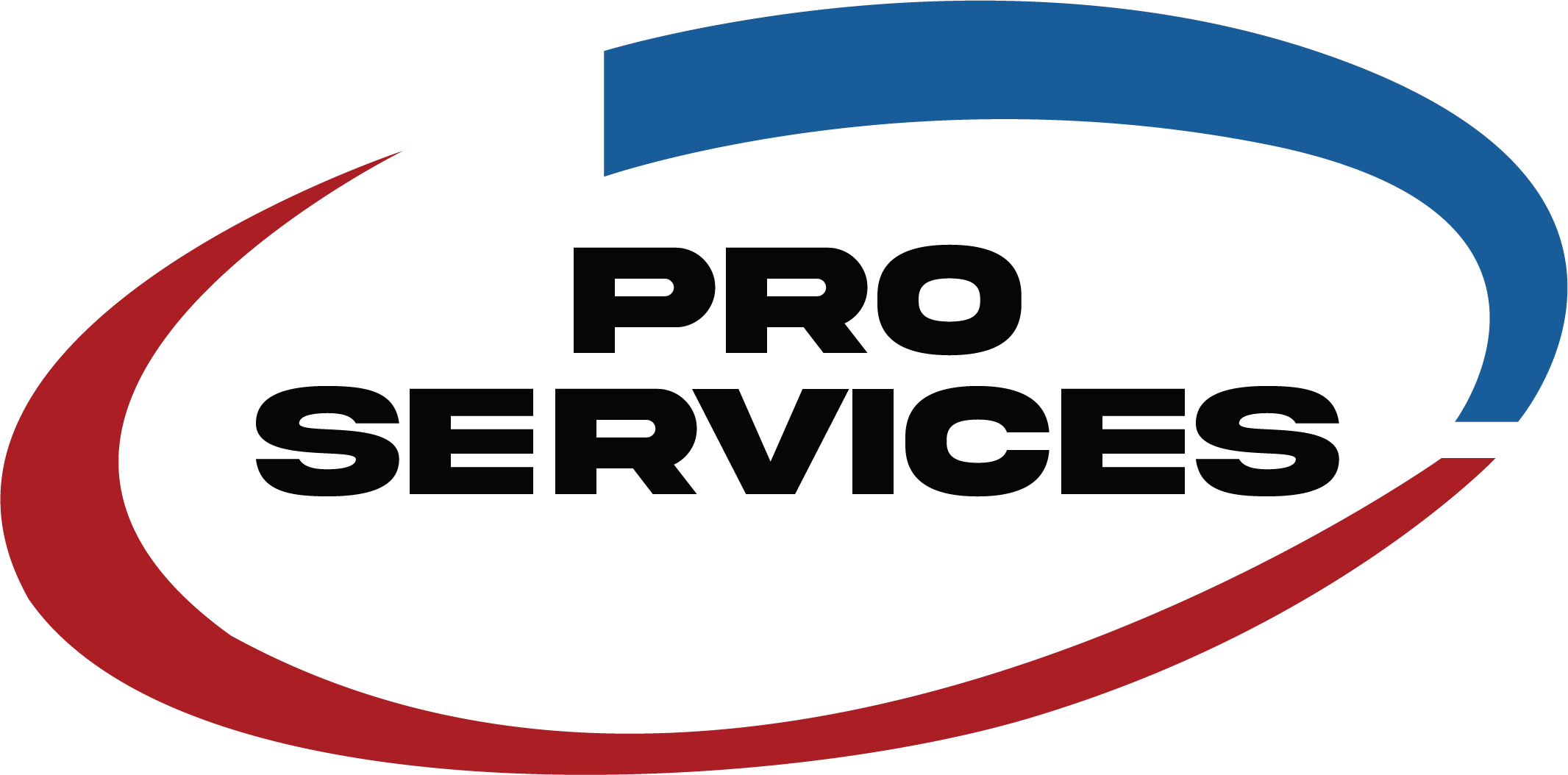 Pro Services Plumbing Drains & Sewer Logo