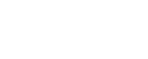 Professional Home Services Logo