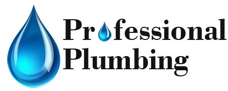 Professional Plumbing Logo