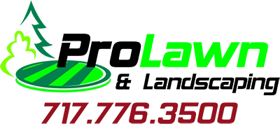 ProLawn & Landscaping Logo