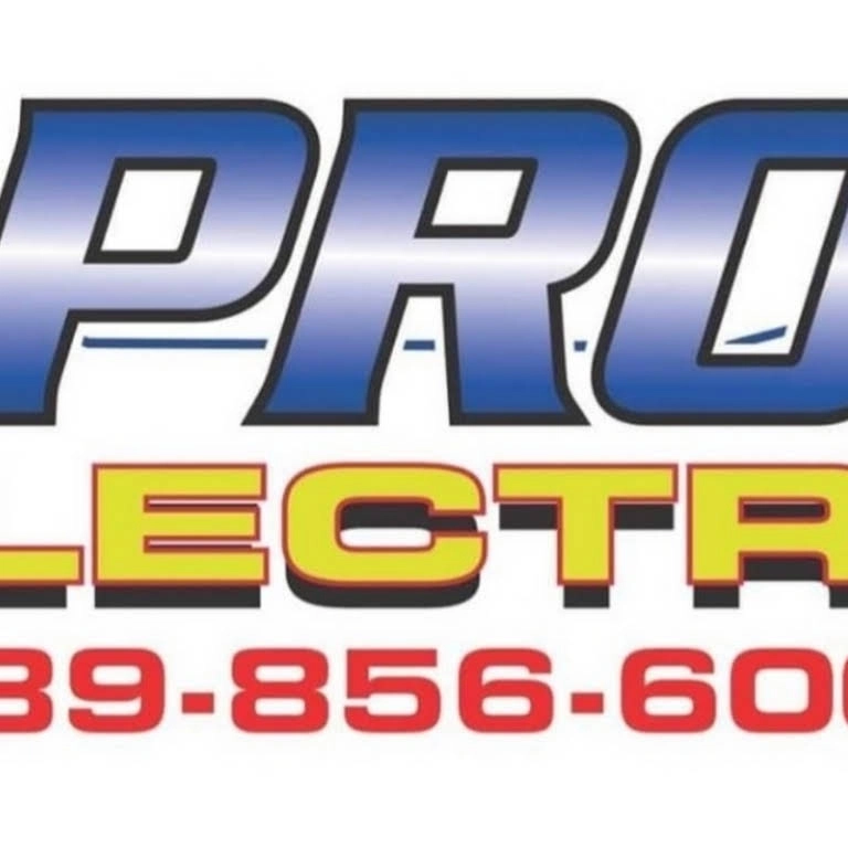 PRO/NSE Electric Logo