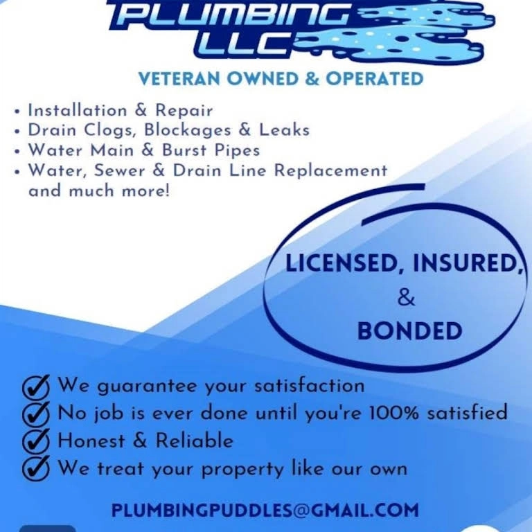 Puddles Plumbing, LLC Logo