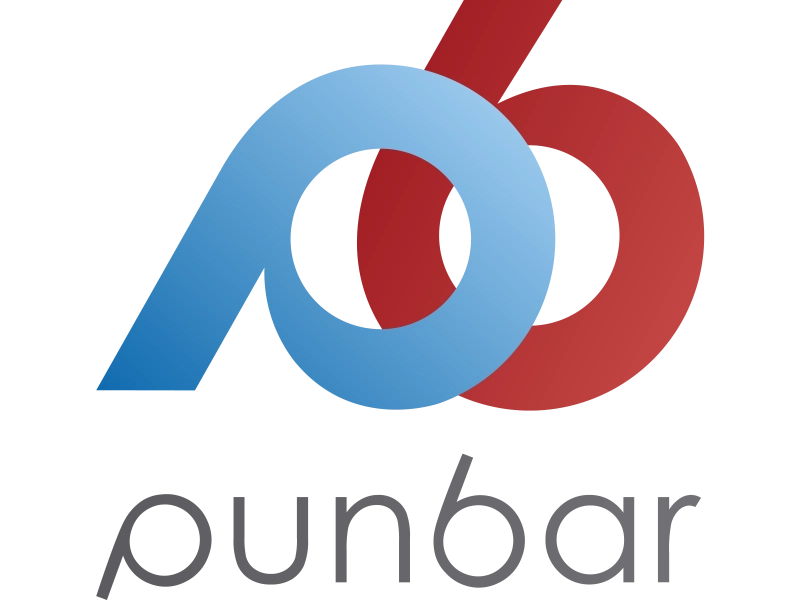 Punbar Air Logo