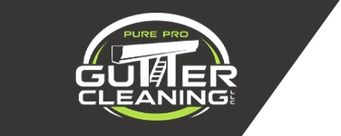 Pure Pro Gutter Cleaning, LLC Logo