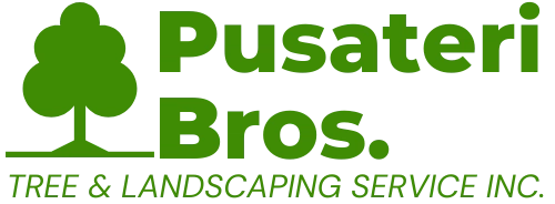 Pusateri Brothers Tree & Landscaping Service Logo