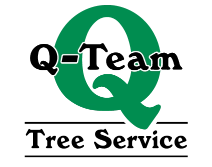 Q-Team Tree Service Logo
