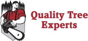 Quality Tree Experts Logo