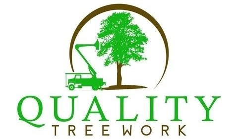 Quality Tree Work Logo