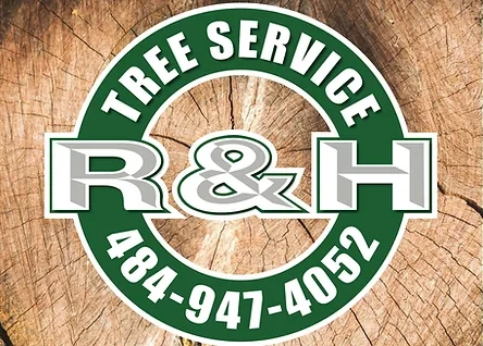 R & H tree service Logo