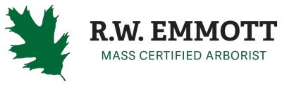 R William Emmott Arborist Logo