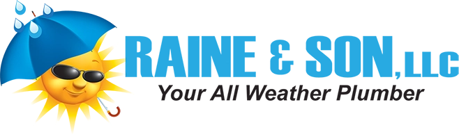 Raine & Sons Inc Logo