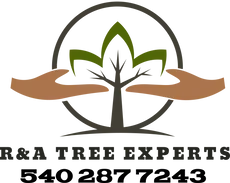 R&A Tree Experts Inc. Logo