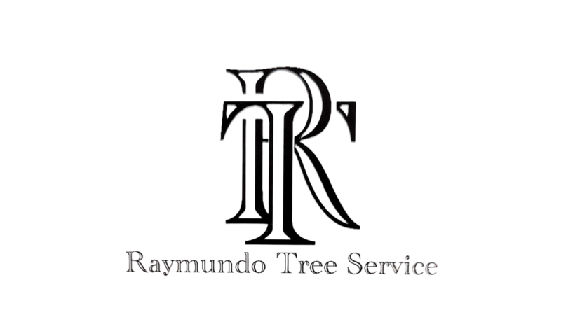 Raymundo Tree Service, LLC Logo