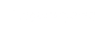 Ray's Complete Plumbing Logo