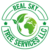 Real sky tree services llc Logo