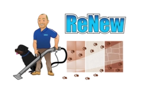 ReNew Carpet & Hard Surface Cleaning Logo
