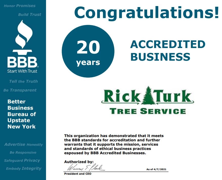 Rick Turk Tree Service Logo