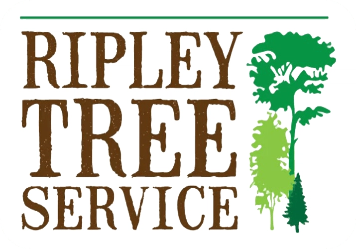 Ripley Tree Service LLC Logo