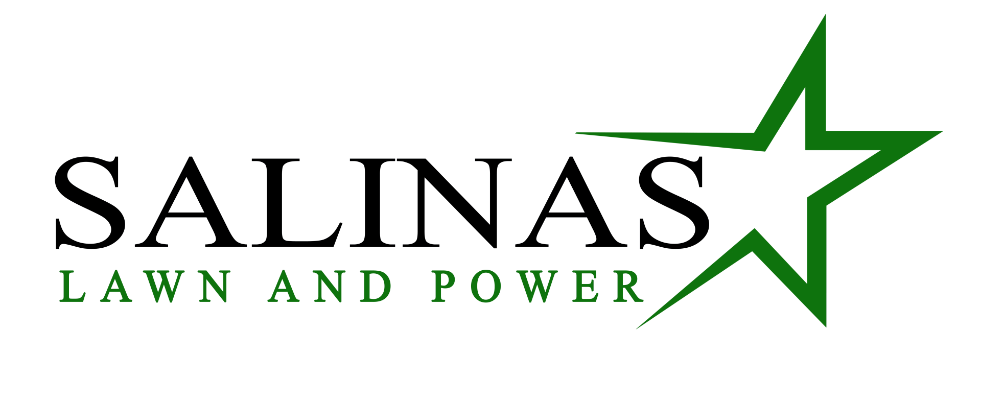 Salinas Lawn & Power Logo