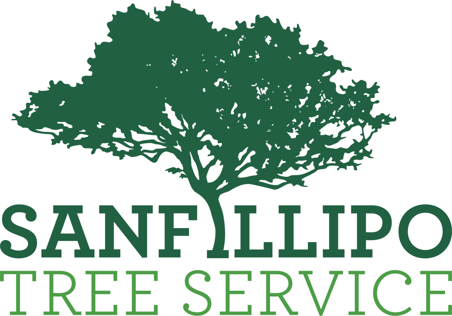 Sanfillipo Tree Service Logo