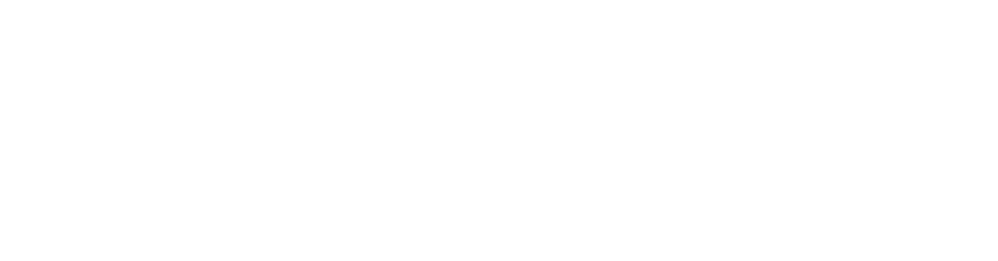 Sarasota Painting & Paver Sealing Logo