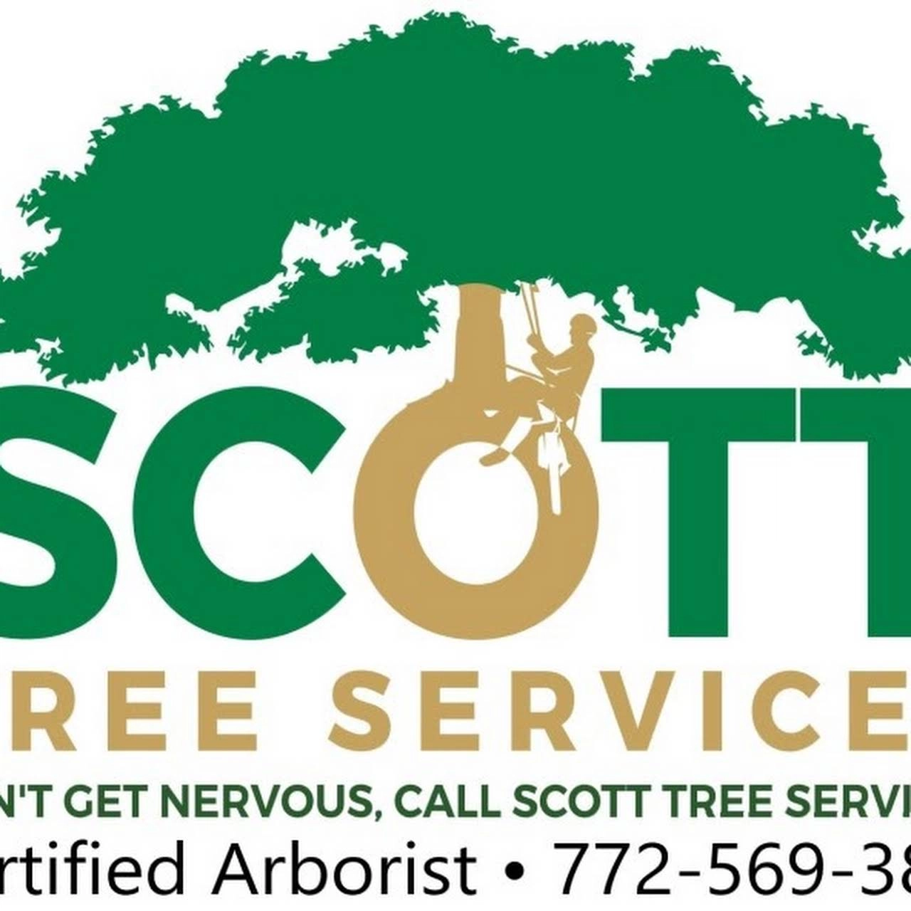 Scott Tree Services TC Logo