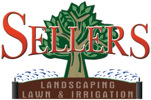 Sellers Services Inc Logo