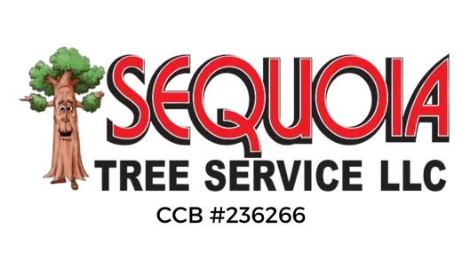 SEQUOIA TREE SERVICE Logo