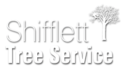 Shifflett Tree Service Logo