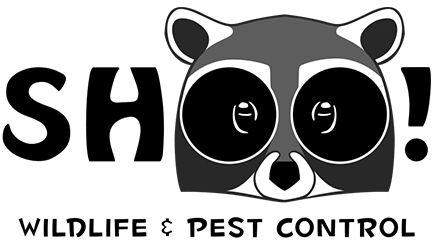SHOO! Wildlife & Pest Control Logo